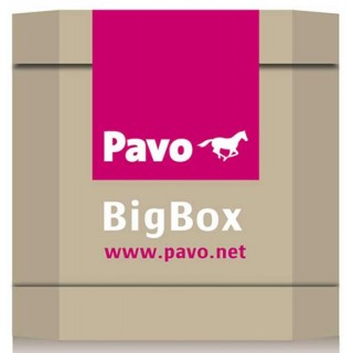 Pavo Sport Condition Pro Bigbox 725kg